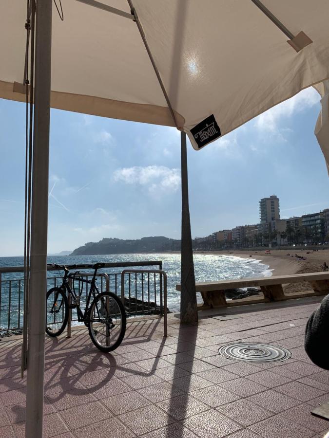 Kelly'S Beach Home Λορέτ Ντε Μαρ Εξωτερικό φωτογραφία